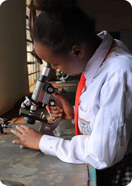 Learning Environment