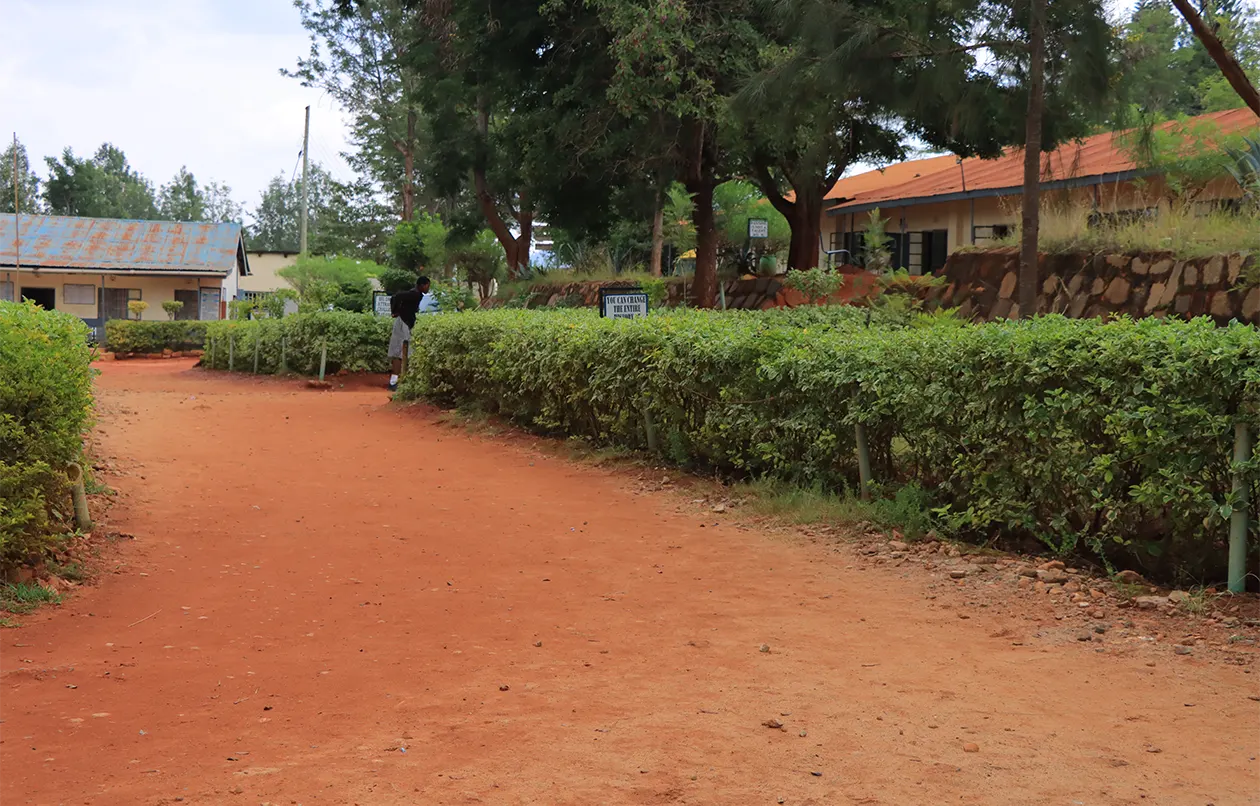 Serene learning environment