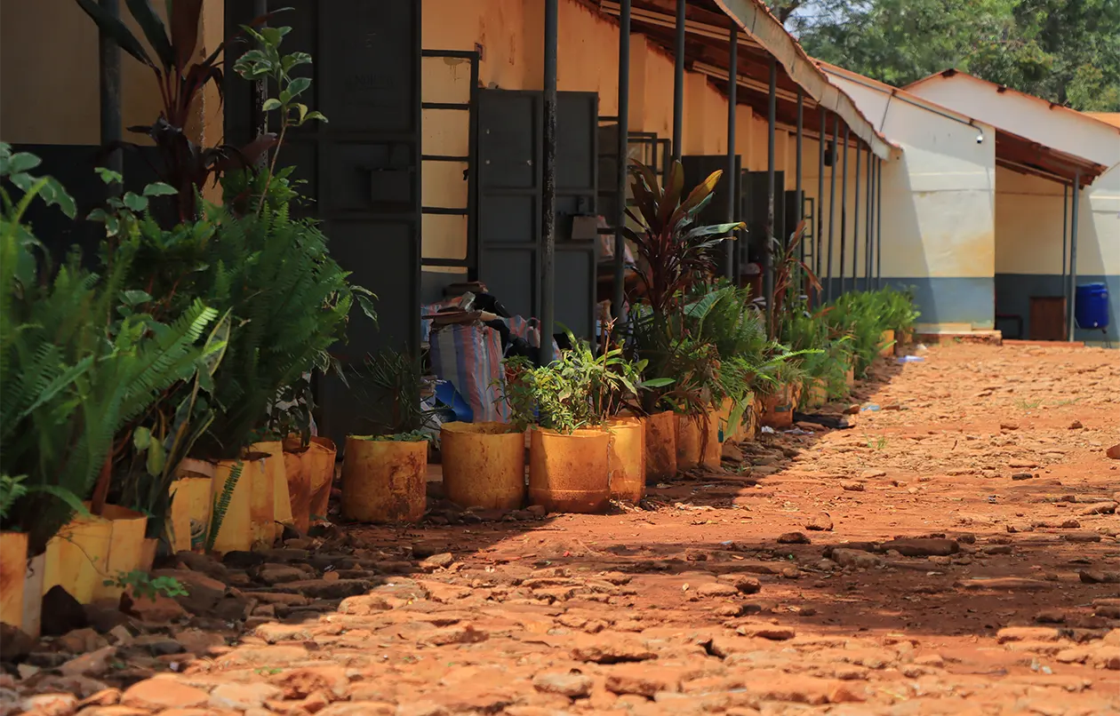 Serene learning environment